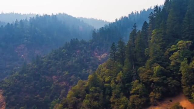 Jurassic Park Music & Ambience - Amazing Soundscapes And Music