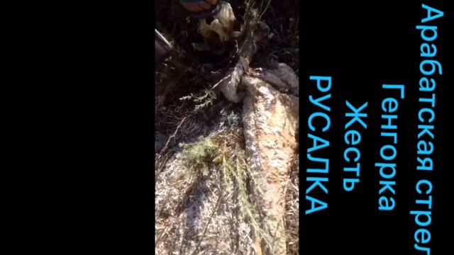 РУСАЛКА в Азовском море. Генгорка смотреть онлайн