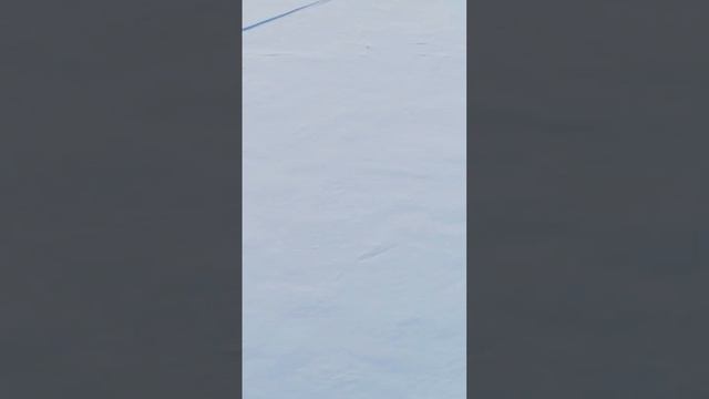 призывали весну #весна #шаманы #песни #танцы #снегоход #зима #любовь смотреть онлайн