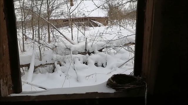 Заброшки. д. Бачелка, Нерехтский район, Костромская обл. Часть 2. смотреть онлайн