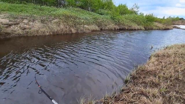 [2] Хариусовые ледники. Часть вторая. Рыбные места. смотреть онлайн