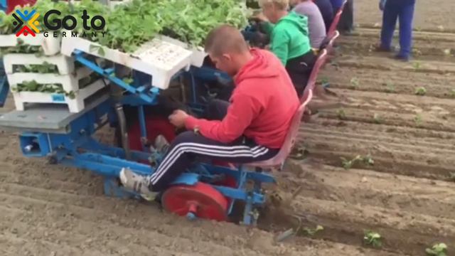 Робота в Німеччині для Українців агрокомпанія Hof Umberg смотреть онлайн