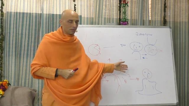 Что такое раса? Ватсала дас смотреть онлайн