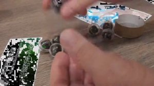 Золотой олень