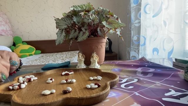 [ГАДАНИЕ НА БОБАХ] Будьте готовы к неожиданному повороту смотреть онлайн