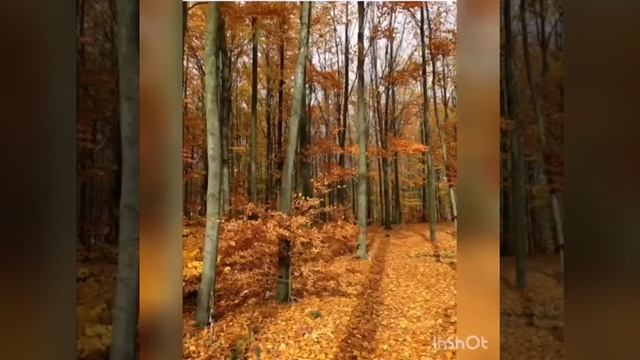 150 лет Бунину смотреть онлайн