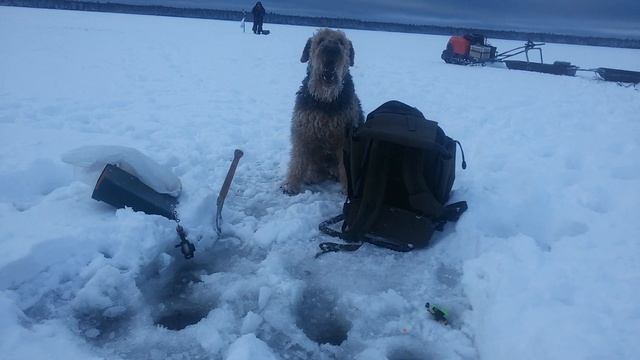 Песня- заклинание на привлечение рыбы) смотреть онлайн