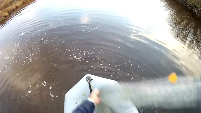 Удачная рыбалка на кастинговую сеть! Снова зарядился адреналином! смотреть онлайн