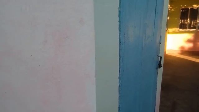 ВСЁ ПОД СЕКАТОР И МОЙ ЦВЕТНИК В НОЯБРЕ 11.11.2018 смотреть онлайн