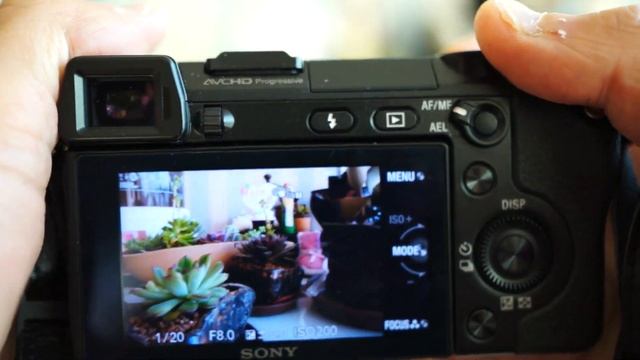 SONY NEX-7 between AF-S and AF-C смотреть онлайн