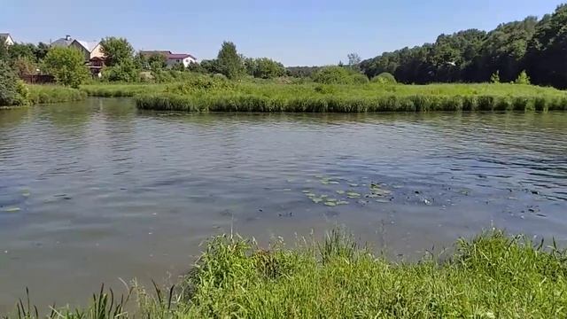 Чайки на Клязьме смотреть онлайн