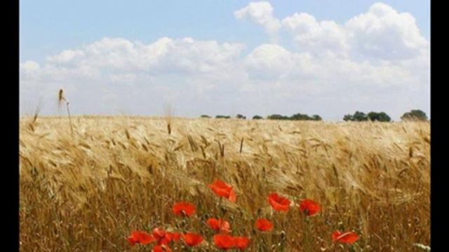 Оксана Білозір Сторона моя смотреть онлайн