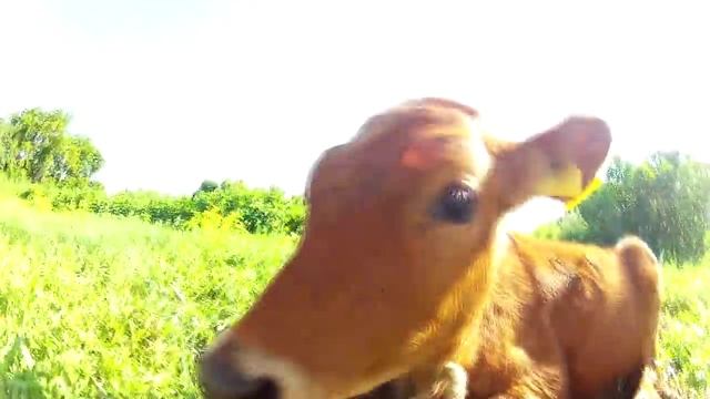 Тюмень - Голубые озера Казахстана смотреть онлайн