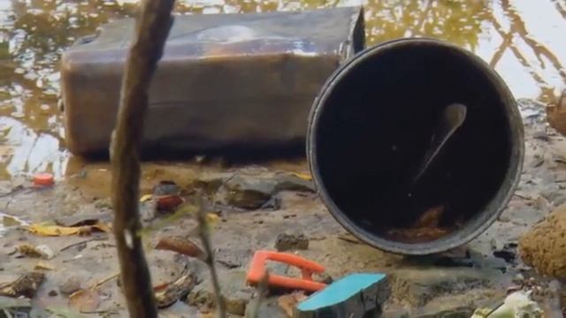 Survival: Men vs Women смотреть онлайн
