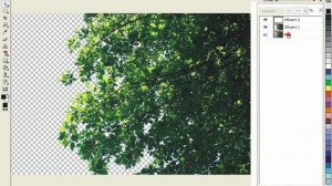 удаление сложного однородного фона в corel photo-paint