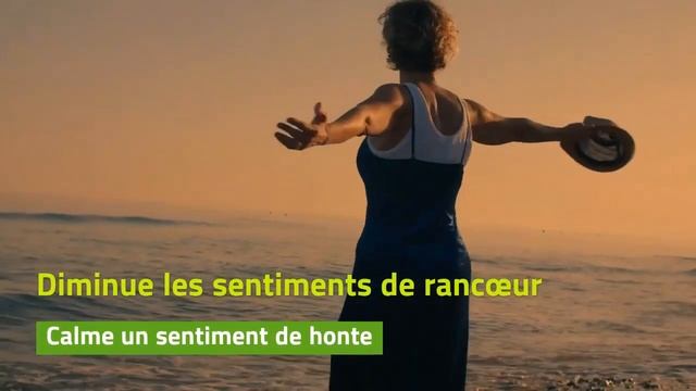 Citrus aurantium ssp bergamia смотреть онлайн