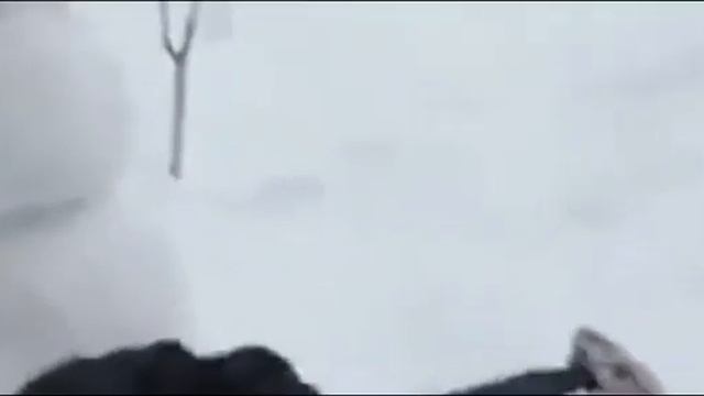 ^у человека было 80 гемов?!^смог обменять босса на короля??!!?^|играем в сыр ТД|Sheese_TD смотреть онлайн