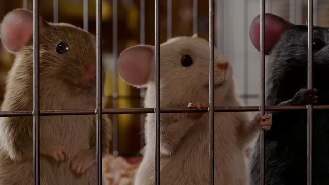 G-Force смотреть онлайн