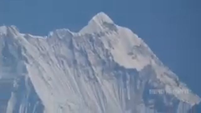 Panasonic Lumix FZ80 Review | Sample Videos & Photos | 60x Zoom Camera Test смотреть онлайн