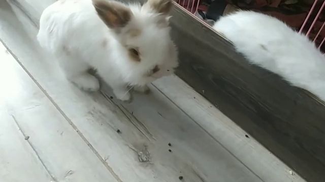 Секреты Умелых Рук