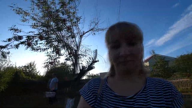 ВЛОГ: На автобусе за цветами \ на дачу за персиками. смотреть онлайн