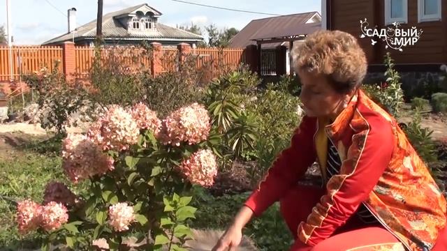 Подготовка сада к зиме. Джутовый укрывной материал смотреть онлайн