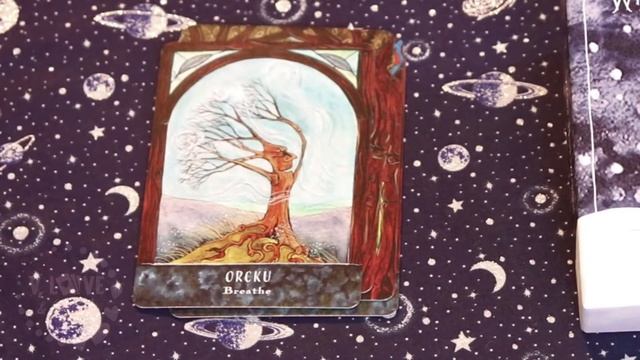 WHITE HARE WISDOM ORACLE ? DECK REVIEW смотреть онлайн