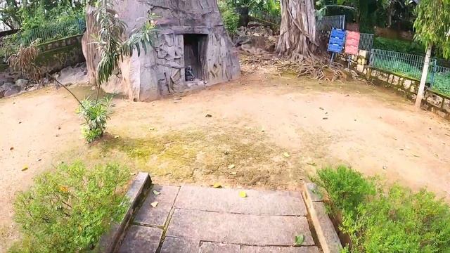 Kovalam | Lighthouse Beach | Poovar Island | One day Trivandrum Itinerary | Namaste Kerala смотреть онлайн