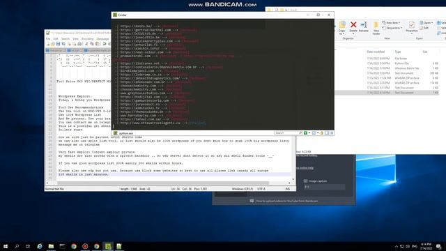 Wordpress Content Exploit - Auto Exploit 500 shells 2-5 hours смотреть онлайн
