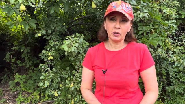 Почему некоторые люди не верят в существование биологической энергии смотреть онлайн