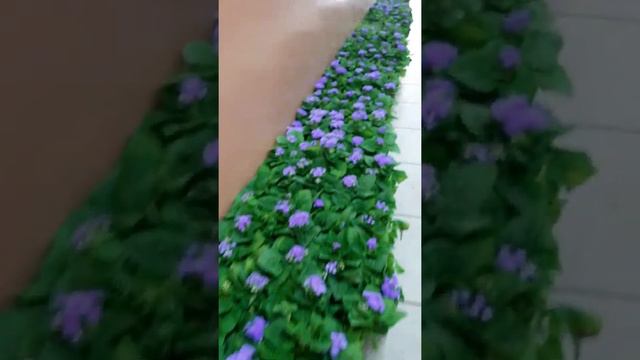 28 апреля 2021 г.