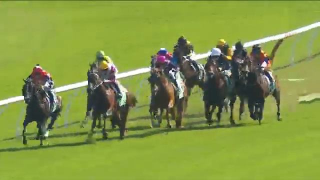 Sunshine In Paris wins at Randwick смотреть онлайн
