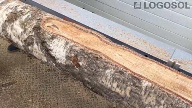 Пилим на цепной пилораме Logosol F2 | Бензопила Stihl MS 361 смотреть онлайн