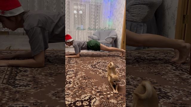 ПЛАНКА 1390 ДНЕЙ смотреть онлайн