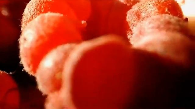 Лето в ладонях. Лесной мукбанг. смотреть онлайн