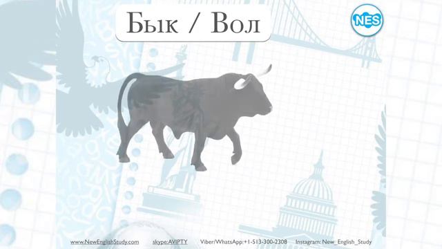 Видео-словарь NES - Животный мир (10-15) смотреть онлайн