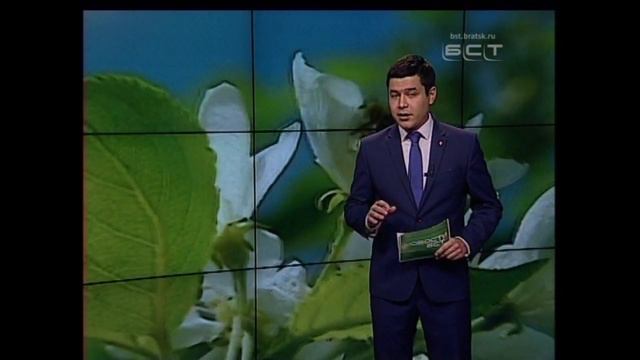 Погода на любой вкус! Все прелести лета ожидают братчан на предстоящей неделе смотреть онлайн