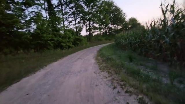 ВЕЧЕРНЯЯ ПРОГУЛКА / ПО КАКОМУ СТАТУСУ ПРИЕХАЛИ РОДИТЕЛИ смотреть онлайн