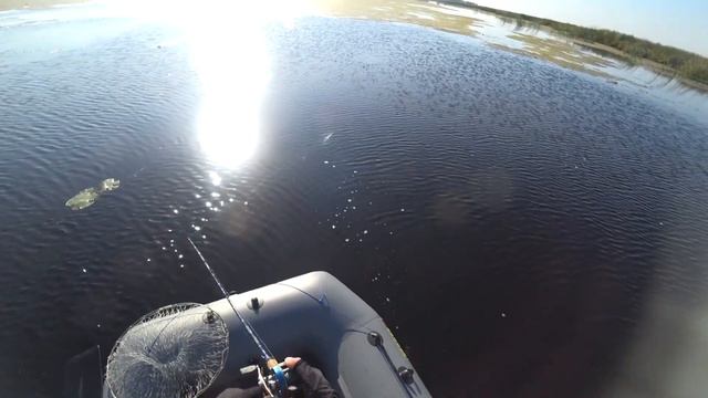 С этими джеркбейтами без улова точно не останешься. #jerkbat #handmade #volgaspintv #pike #fish