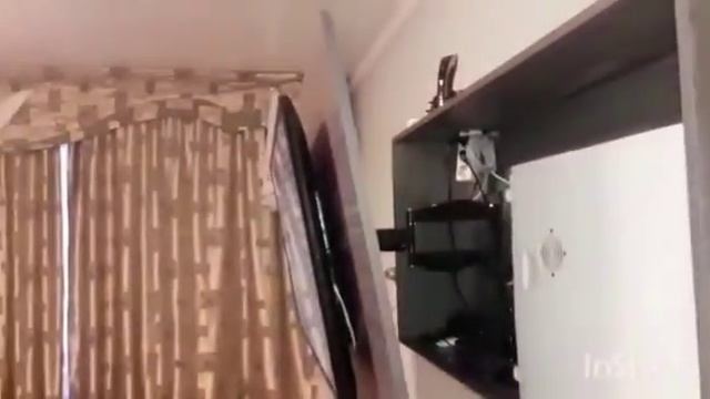 Смарт полка TV смотреть онлайн