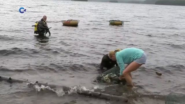 Два дня дайверы и активные жители Костомукши очищали озеро Контокки от отходов