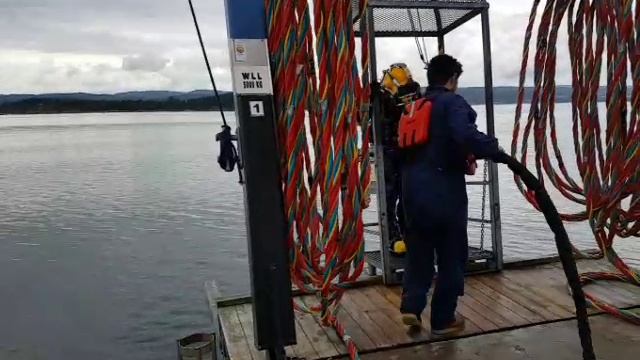 Professional Diving смотреть онлайн