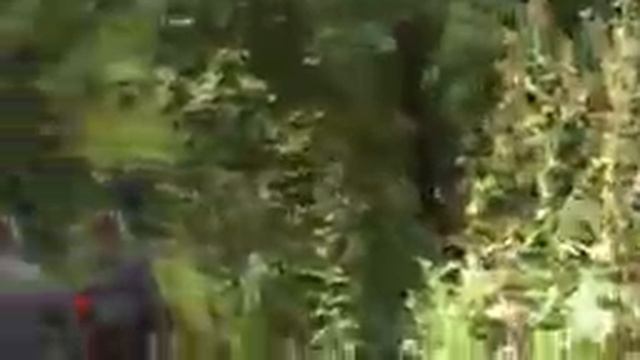 ЮЖНЫЙ СЛОН Пещера как вы ее не видели смотреть онлайн