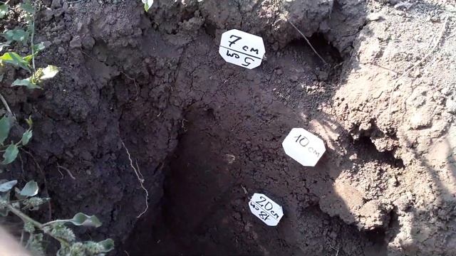 Металлоискатель MD4030 обзор и сравнение от разных производителей.