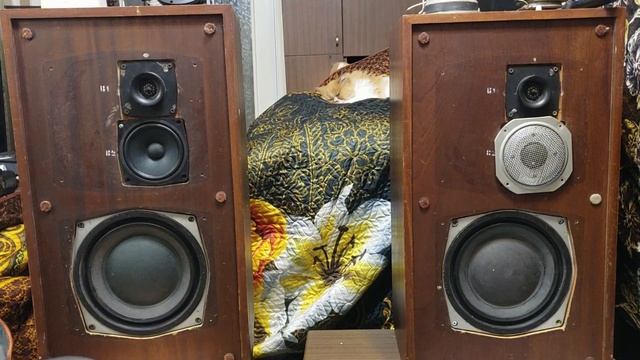 Замена сч в 35ас ,финал. текст 35ас-021, Las 125 , Visaton sc13 , Ivolga CS 2.5, 25гдн-3 , 4гд-8е смотреть онлайн