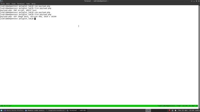 Remote code execution via polyglot web shell upload - PORTSWIGGER ACADEMY смотреть онлайн
