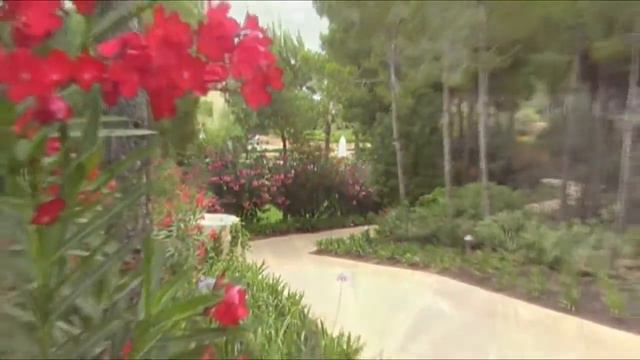 How Does Your Garden Look Today? - Roses & Lions ® смотреть онлайн