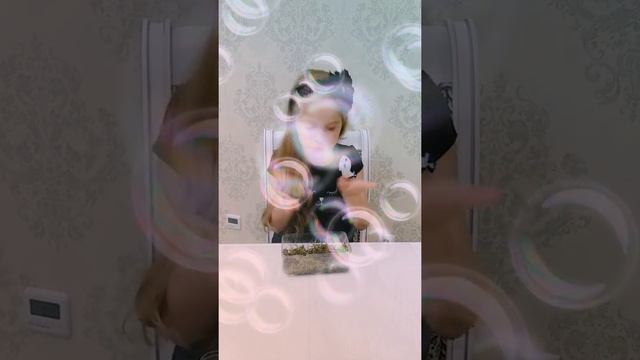 Улитки Ахатины, питание