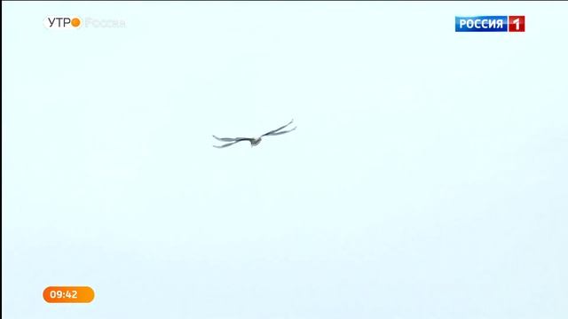 Как правильно загорать на солнце: советы эксперта смотреть онлайн