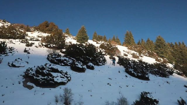 Destination Karakol | Зимний юрточный лагерь Экотрека смотреть онлайн